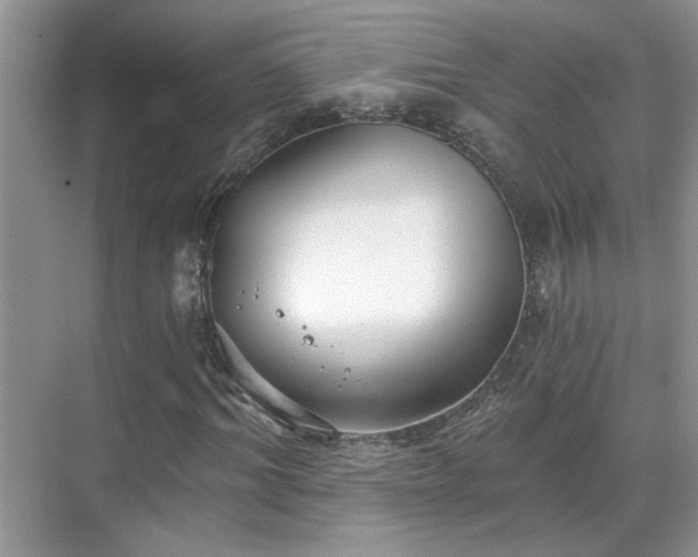 X0000070360964200606121205