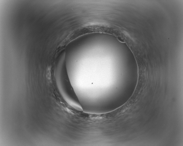 X0000070360965200606121205