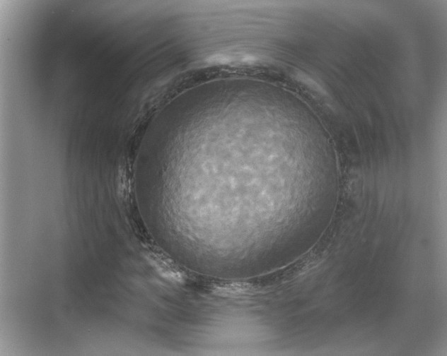 X0000070360966200606121205