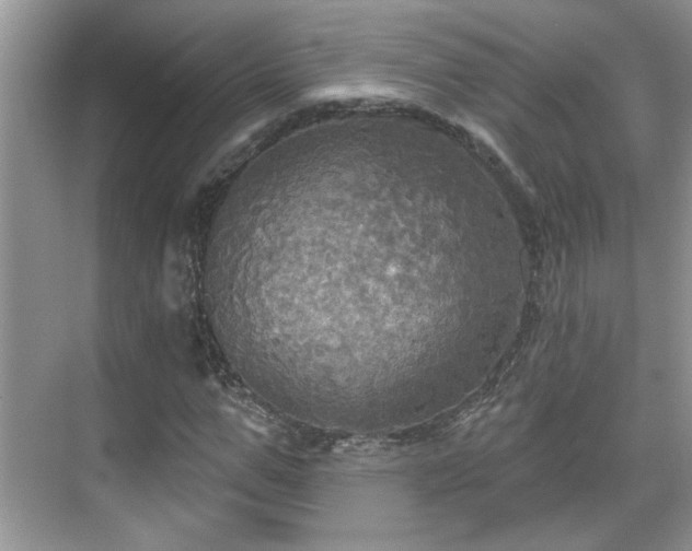 X0000070360967200606121205