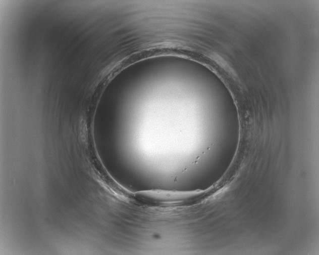 X0000070360969200606121205