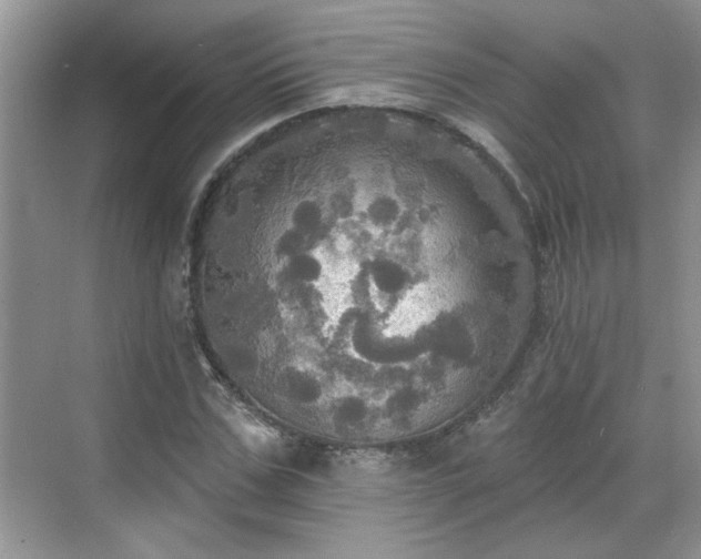 X0000070360971200606121205