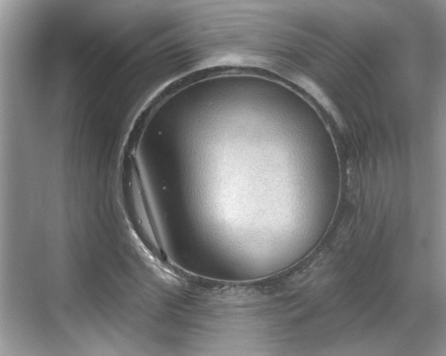 X0000070360972200606121205