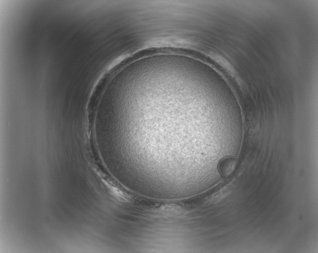 X0000070360974200606121205