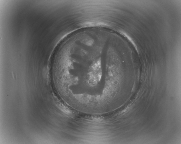 X0000070360975200606121205