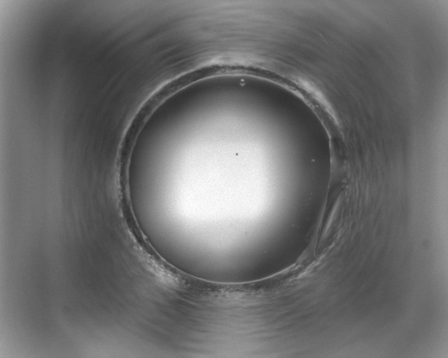 X0000070360976200606121205