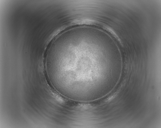 X0000070360978200606121205