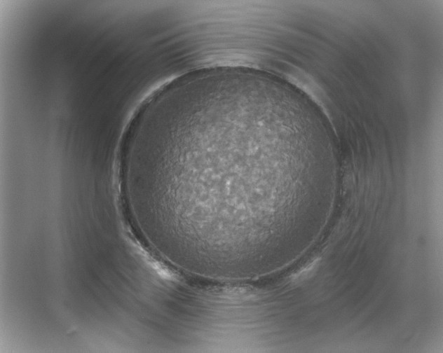 X0000070360979200606121205