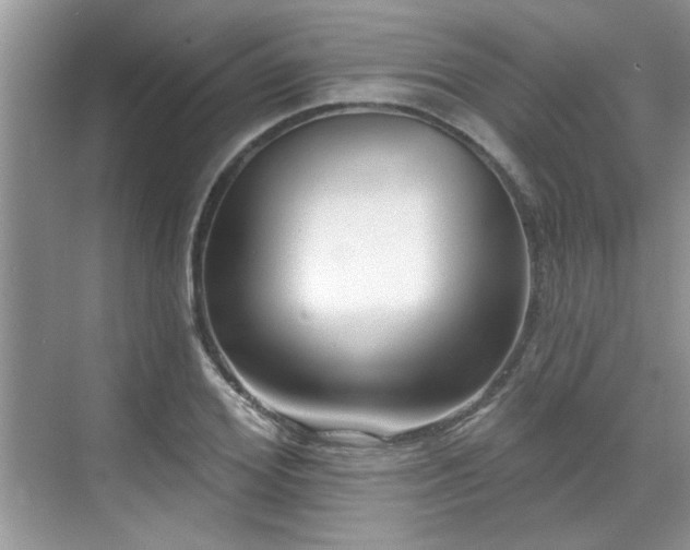 X0000070360980200606121205