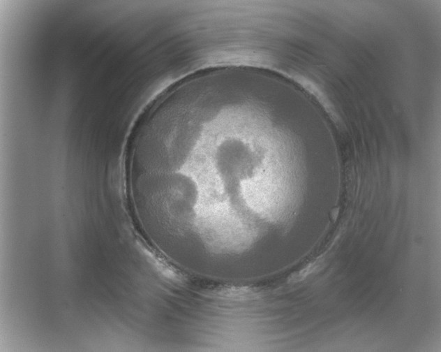 X0000070360982200606121205