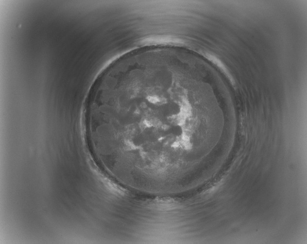 X0000070360983200606121205