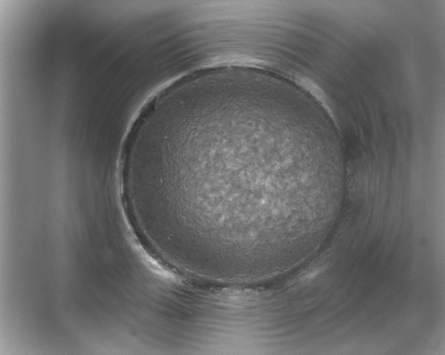 X0000070360987200606121204