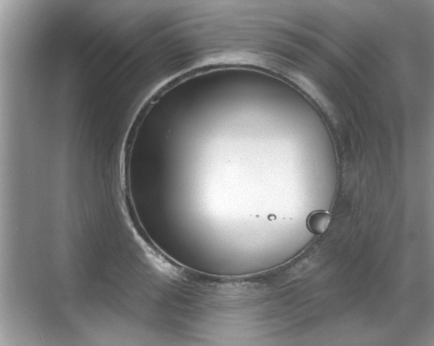 X0000070360988200606121204