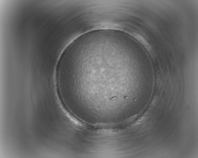 X0000070360990200606121204