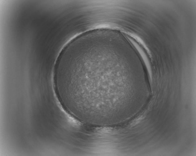 X0000070360991200606121204