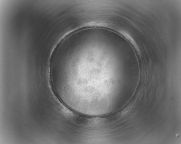 X0000070360992200606121204