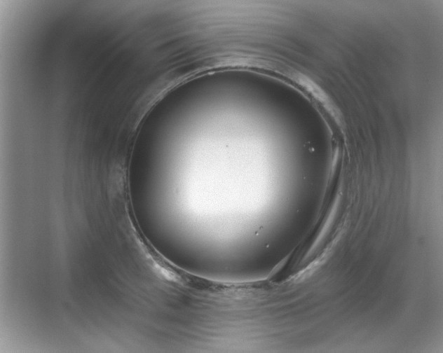 X0000070360993200606121204