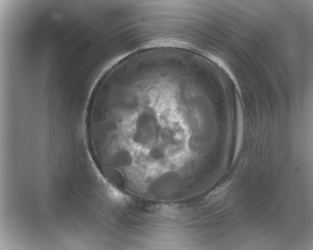 X0000070360995200606121204