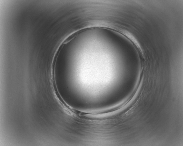 X0000070360996200606121204