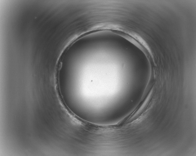 X0000070360997200606121204