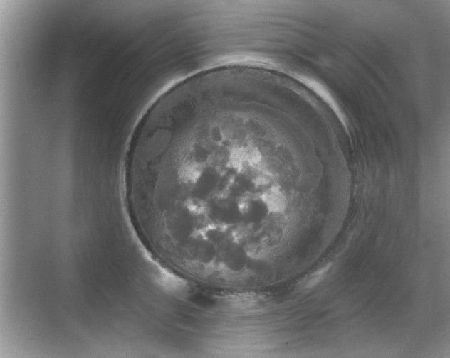 X0000070360999200606121204