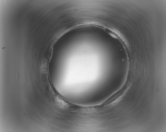 X0000070361001200606121204