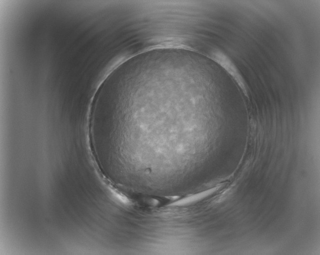 X0000070361002200606121204