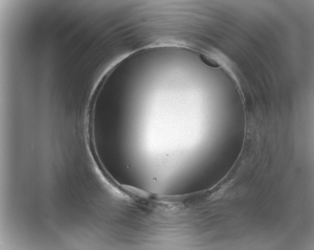 X0000070361003200606121204