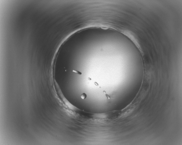 X0000070361004200606121204