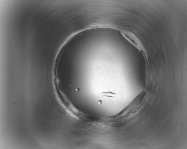 X0000070361005200606121204