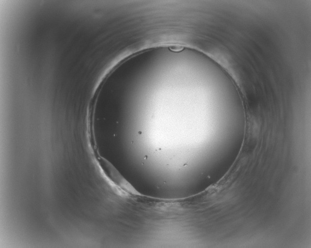 X0000070361006200606121204