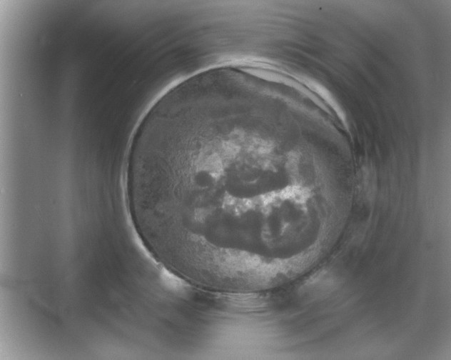 X0000070361007200606121204