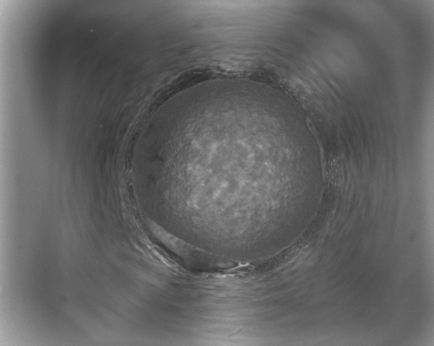 X0000070361009200606121203