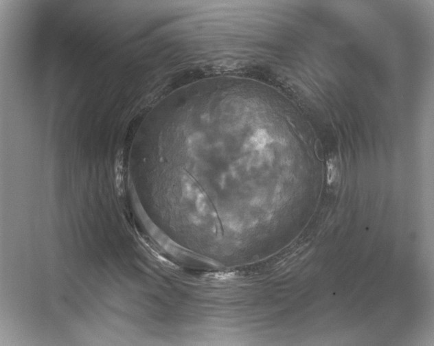 X0000070361011200606121203