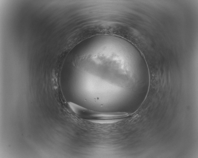 X0000070361013200606121203