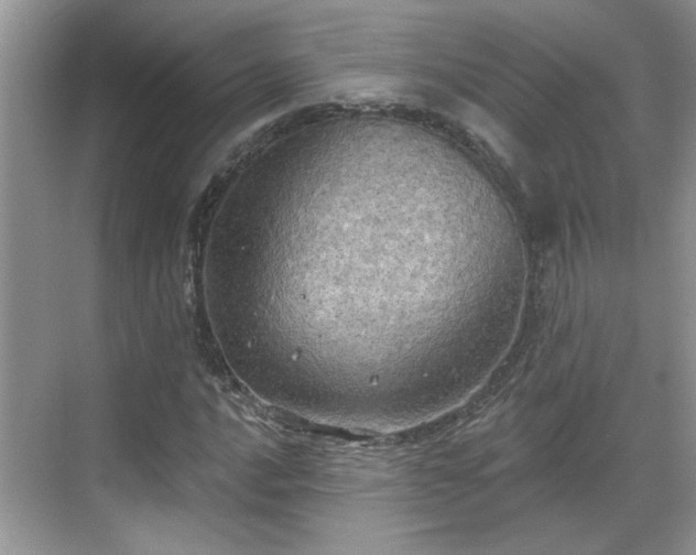 X0000070361016200606121203