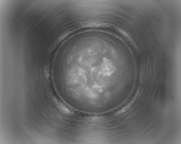 X0000070361017200606121203