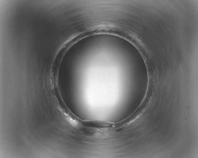 X0000070361018200606121203