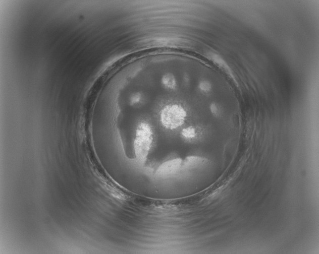 X0000070361019200606121203