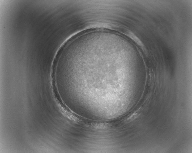 X0000070361020200606121203