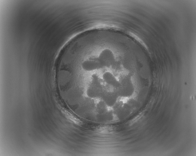 X0000070361021200606121203