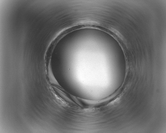 X0000070361022200606121203