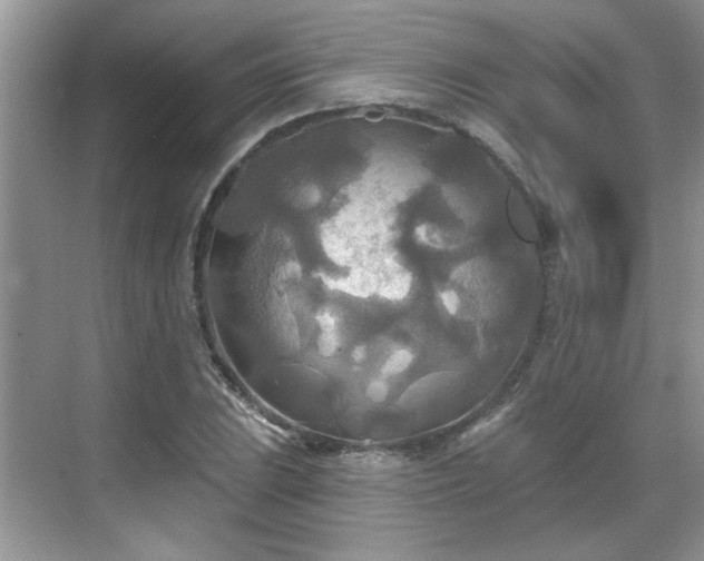 X0000070361023200606121204