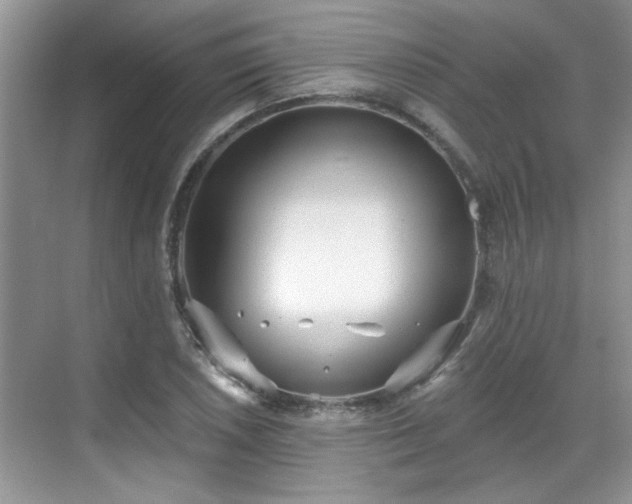 X0000070361026200606121204