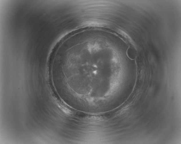 X0000070361027200606121204