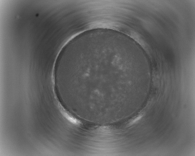 X0000070361028200606121204