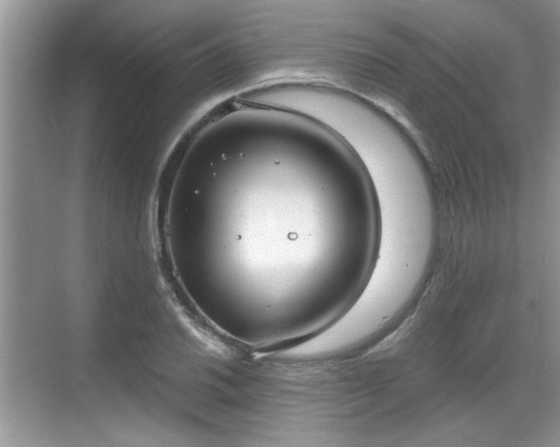 X0000070361030200606121204