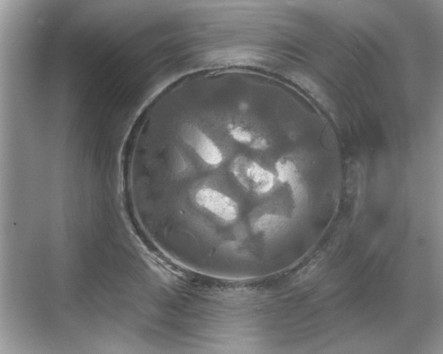 X0000070361031200606121204