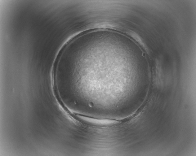 X0000070361032200606121204