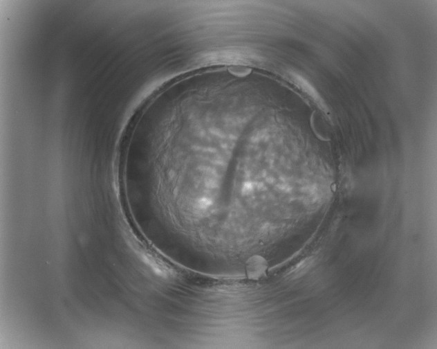 X0000070361035200606121204